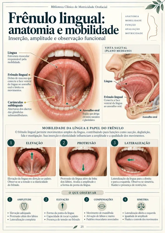 Frênulo lingual: anatomia e mobilidade